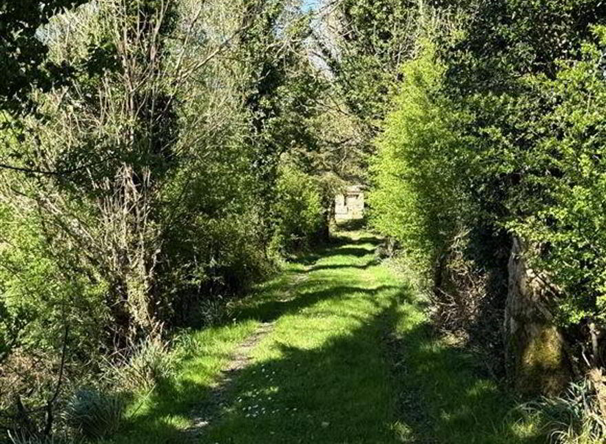 Tawnymucklagh, Monasteraden, F45Y652