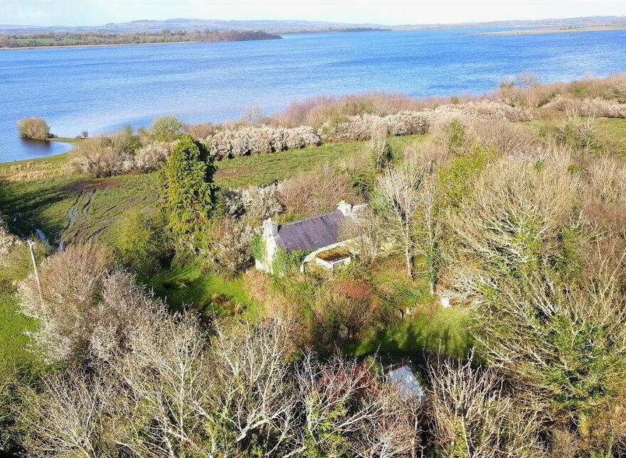 Tawnymucklagh, Monasteraden, F45Y652