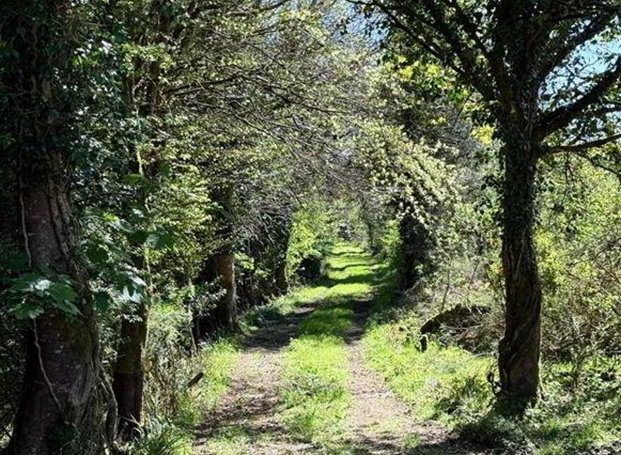Tawnymucklagh, Monasteraden, F45Y652