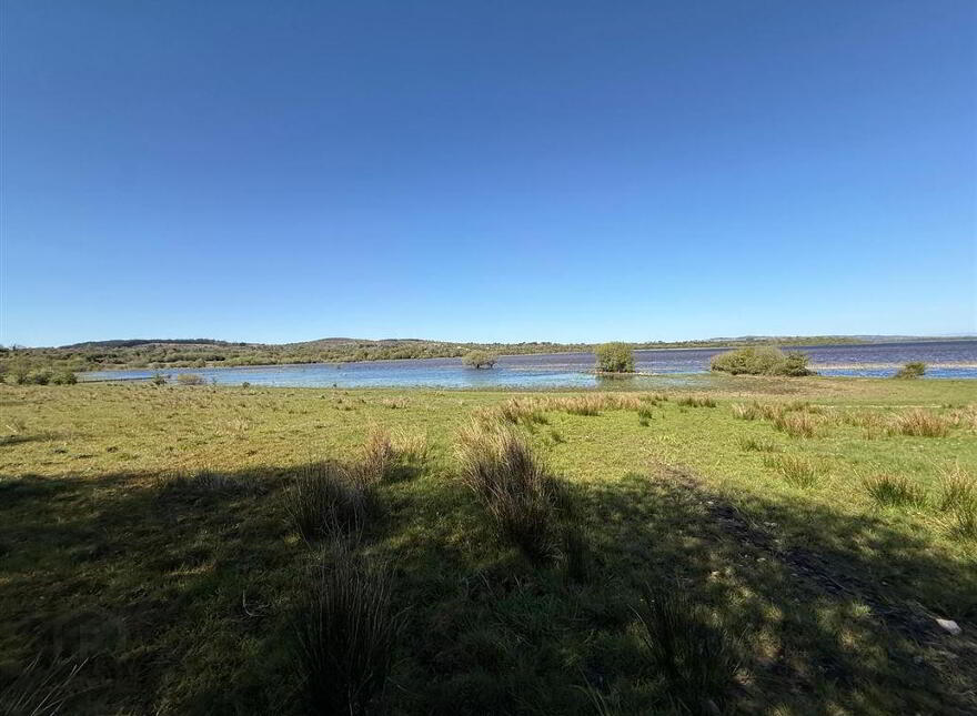 Tawnymucklagh, Monasteraden, F45Y652