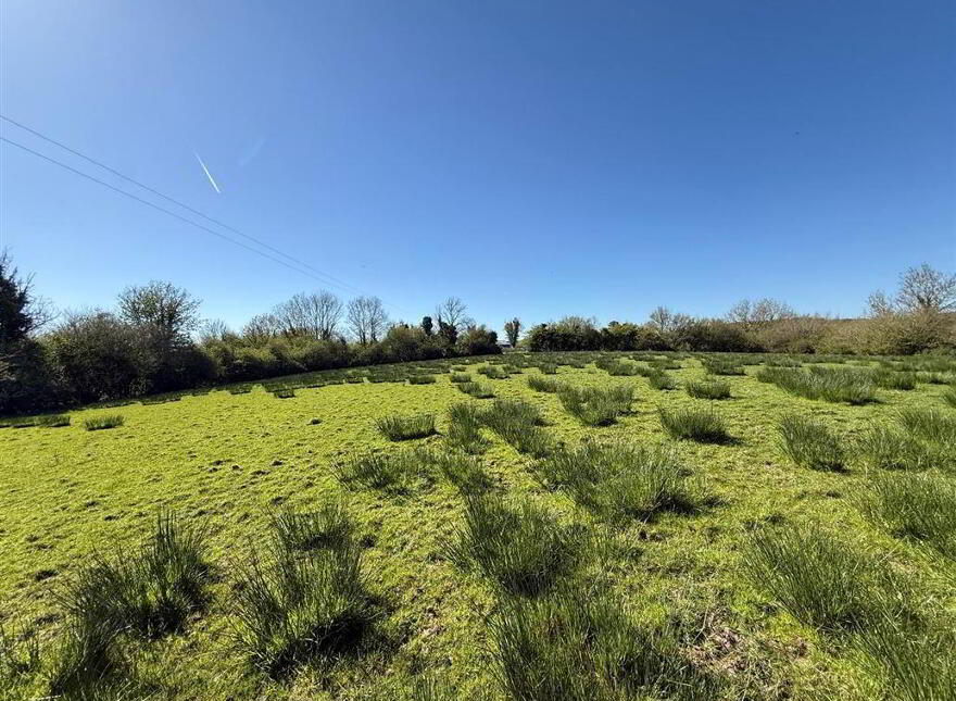 Tawnymucklagh, Monasteraden, F45Y652