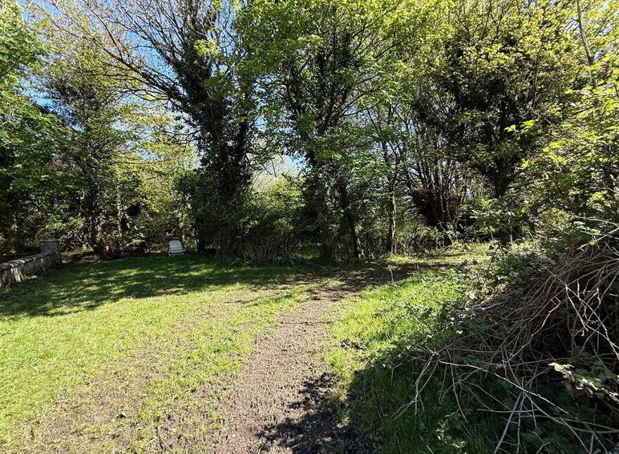 Tawnymucklagh, Monasteraden, F45Y652