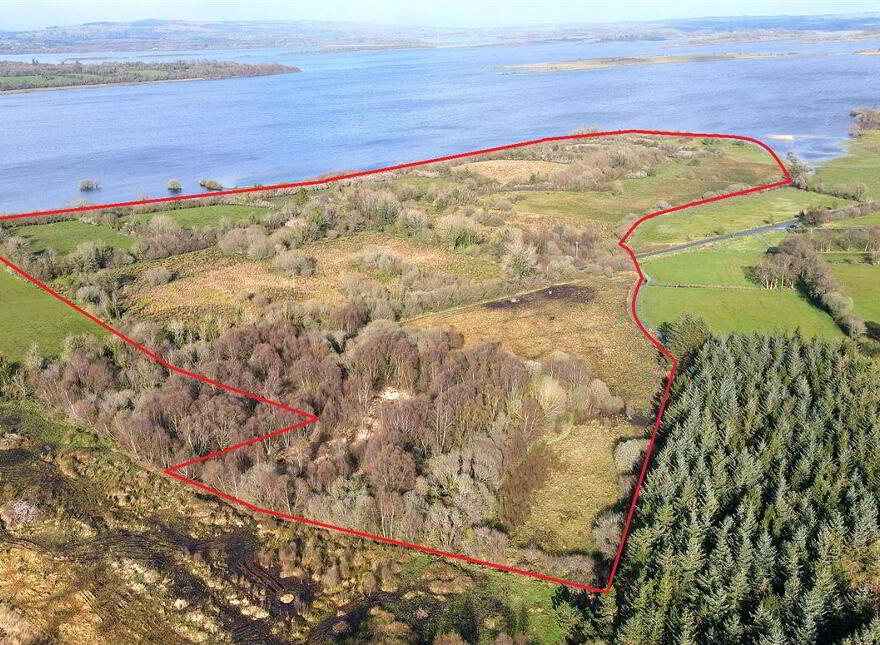 Tawnymucklagh, Monasteraden, F45Y652