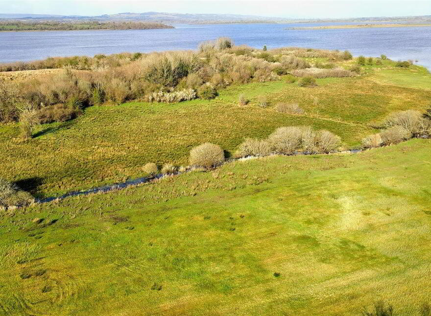 Tawnymucklagh, Monasteraden, F45Y652
