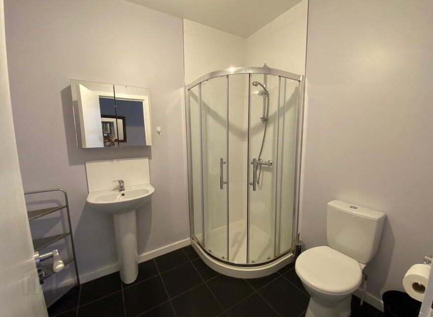 45 Ulsterville Avenue, Lisburn Road, Belfast, BT9 7AT