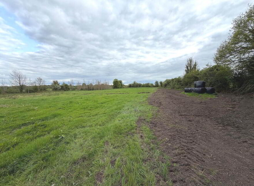1 39ha / 3.43 Acres Ballintemple, Walsh Island, Tullamore