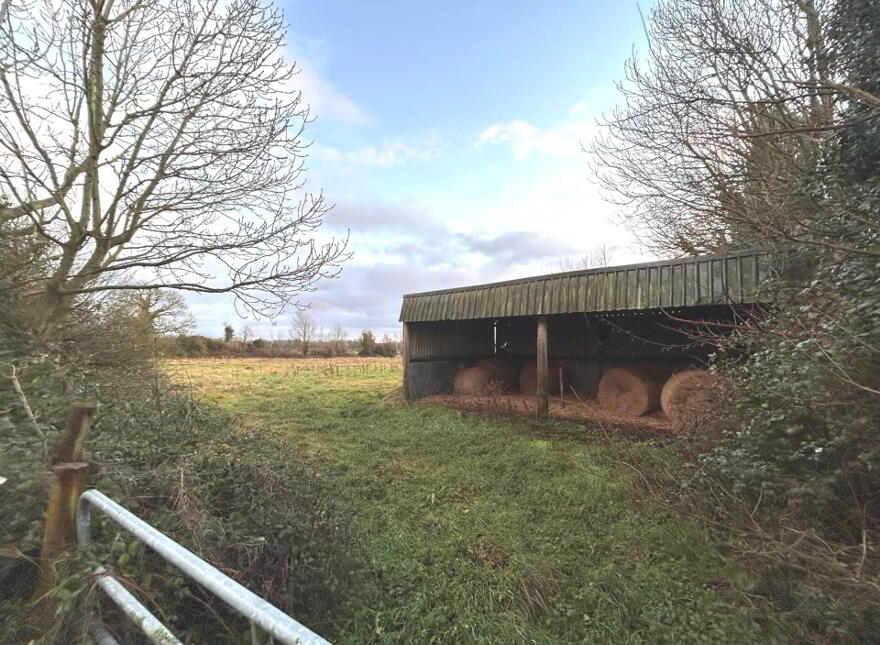 1 39ha / 3.43 Acres Ballintemple, Walsh Island, Tullamore
