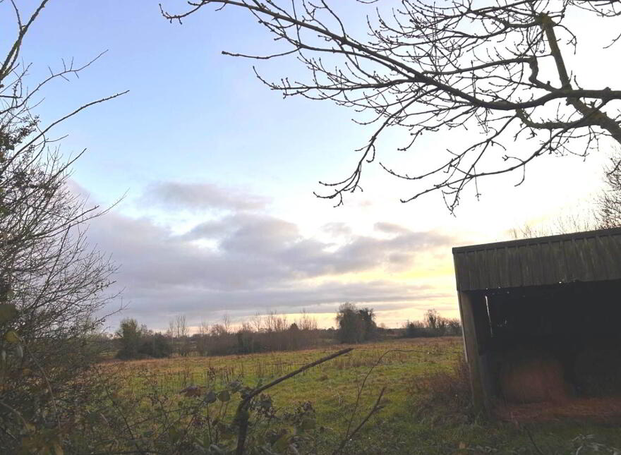 1 39ha / 3.43 Acres Ballintemple, Walsh Island, Tullamore