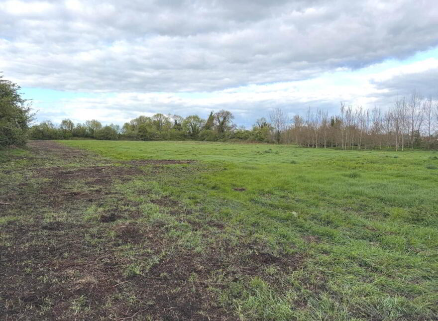 1 39ha / 3.43 Acres Ballintemple, Walsh Island, Tullamore