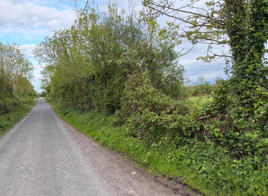1 39ha / 3.43 Acres Ballintemple, Walsh Island, Tullamore
