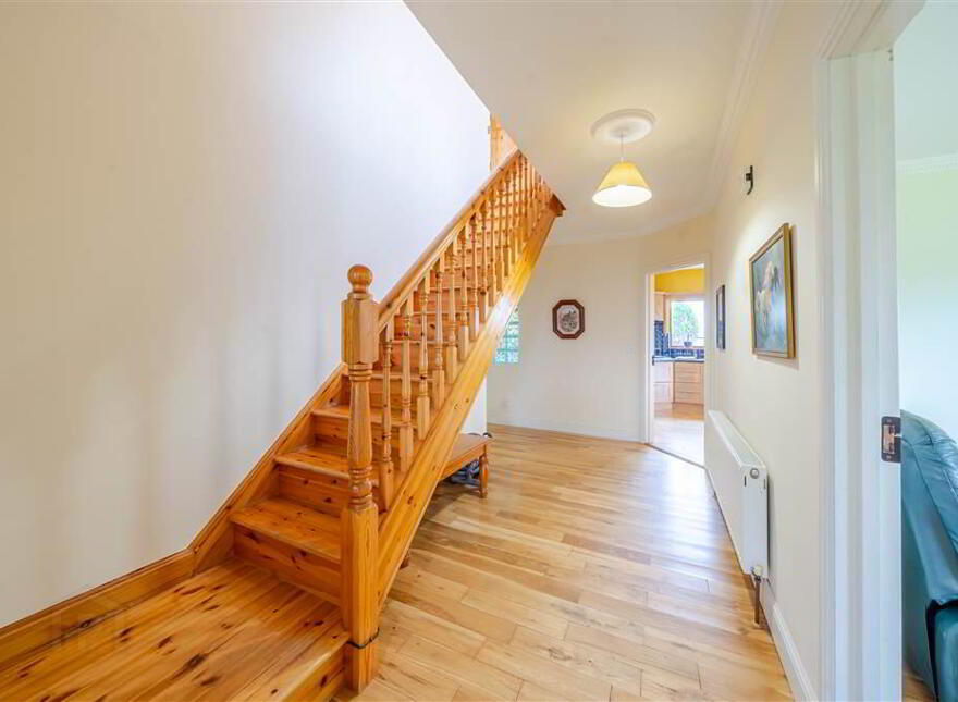 Derrygorman, Westport, F28TV72