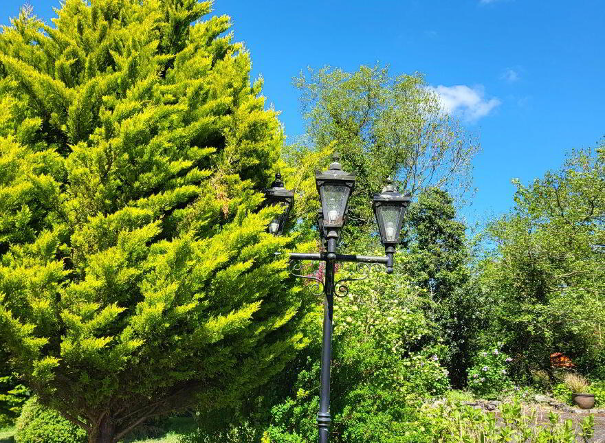 Aroddy, Foxfield, Gorvagh, N41PC04
