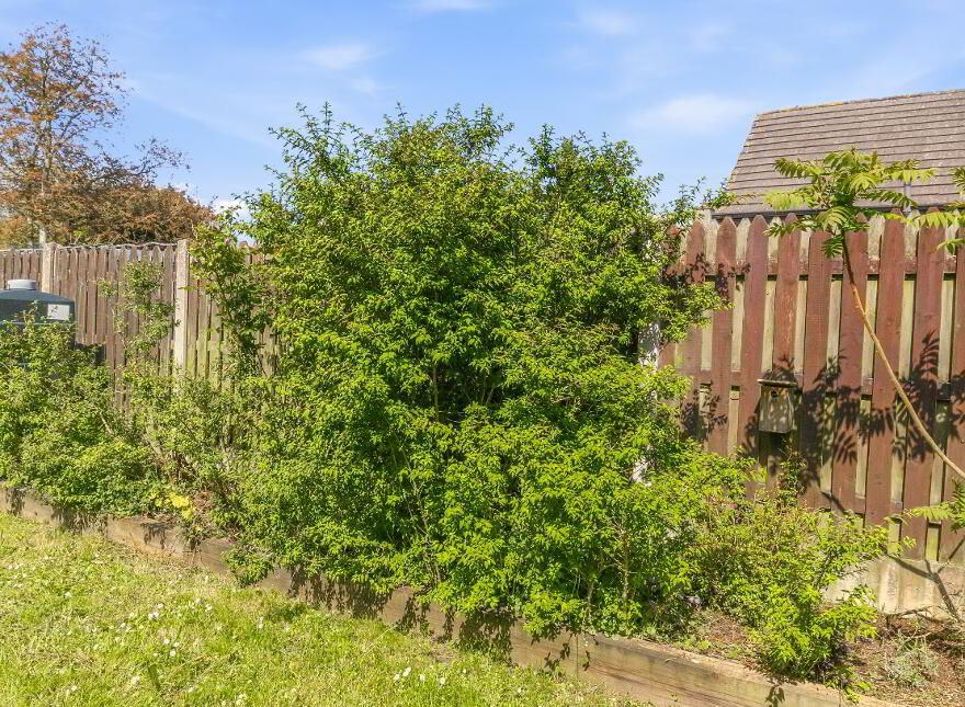 3 Park Green, Phelimwood, Tullow, R93XY30