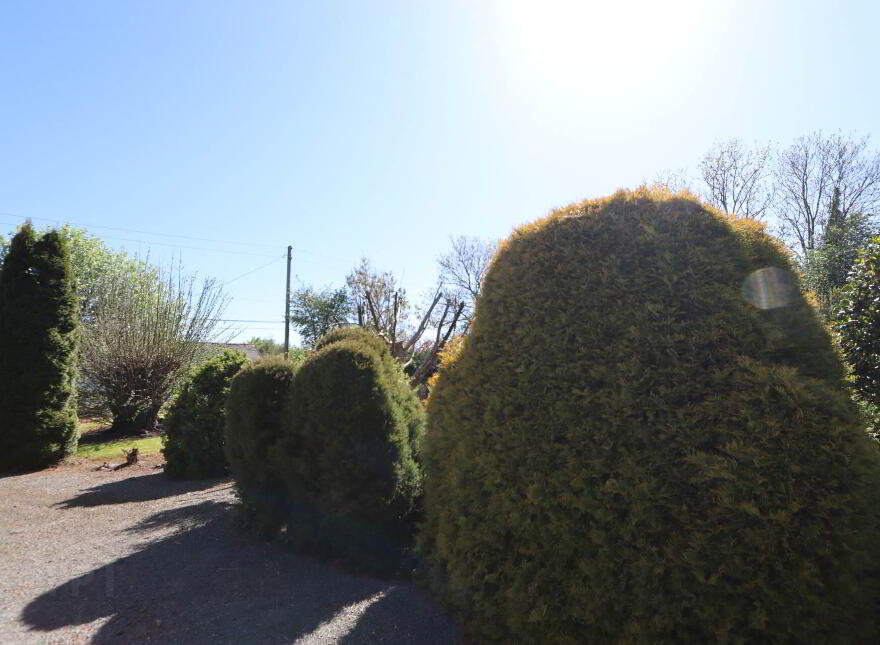 Bohernore, Knocklong, V35XY40