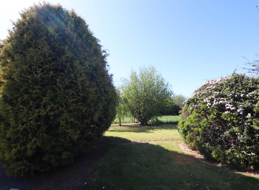 Bohernore, Knocklong, V35XY40