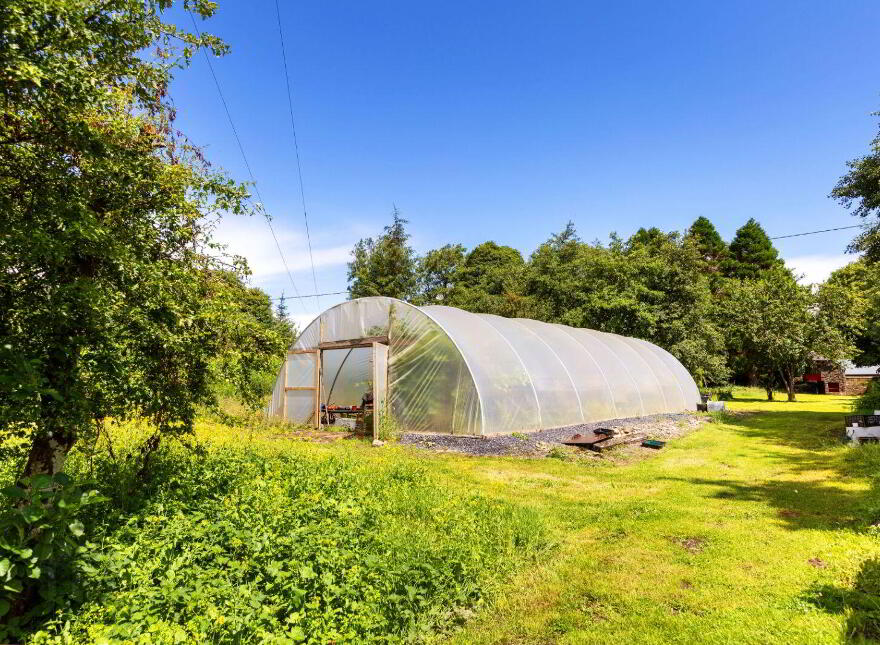 Clooneen House, Mill And Gardens, Granard, N91C432
