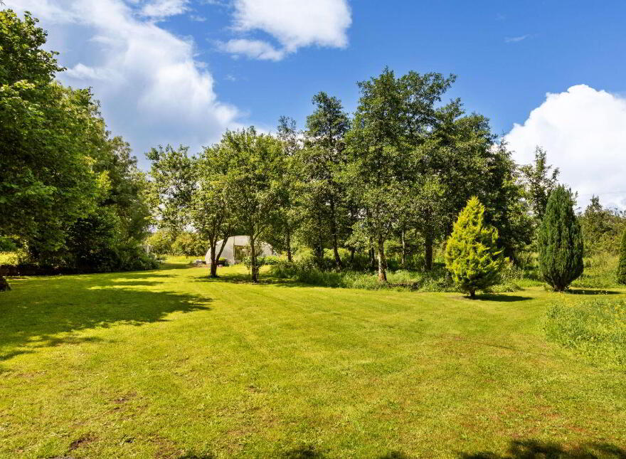 Clooneen House, Mill And Gardens, Granard, N91C432
