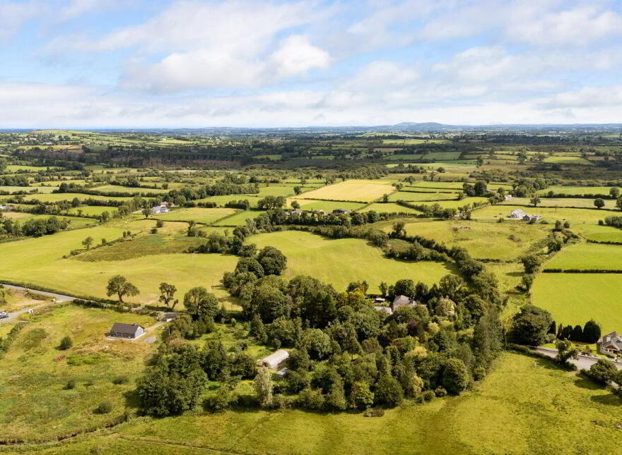 Clooneen House, Mill And Gardens, Granard, N91C432
