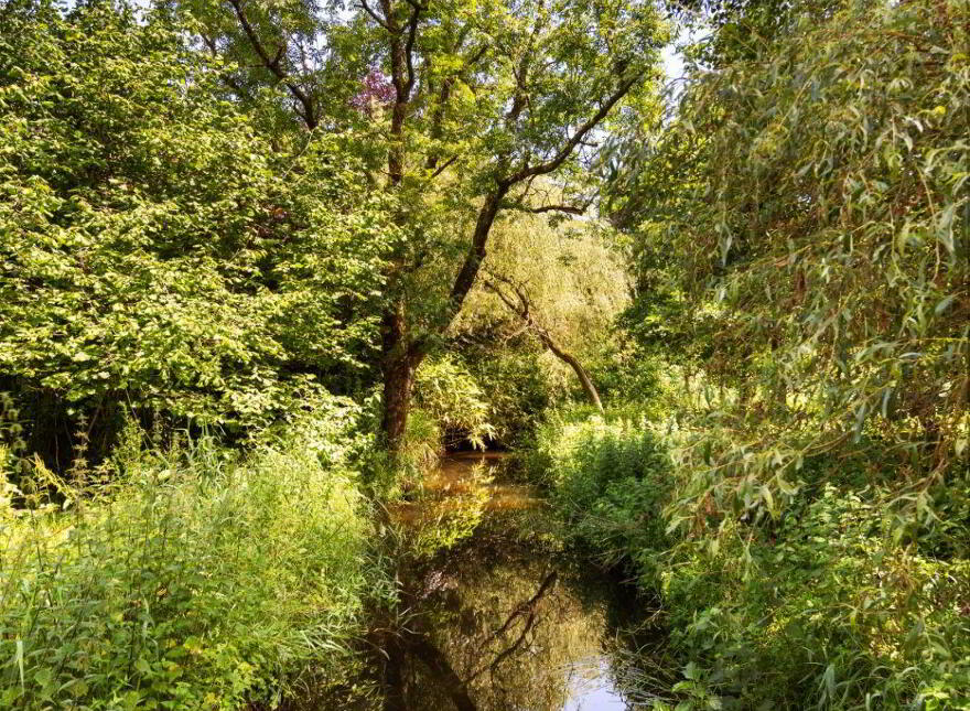 Clooneen House, Mill And Gardens, Granard, N91C432