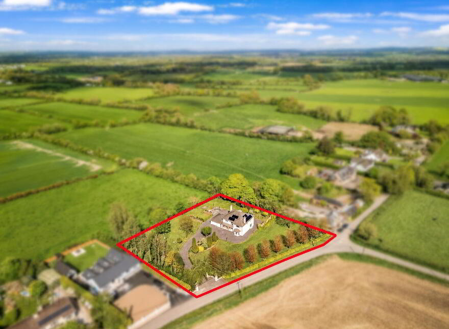 Collierstown, Tara, C15P920