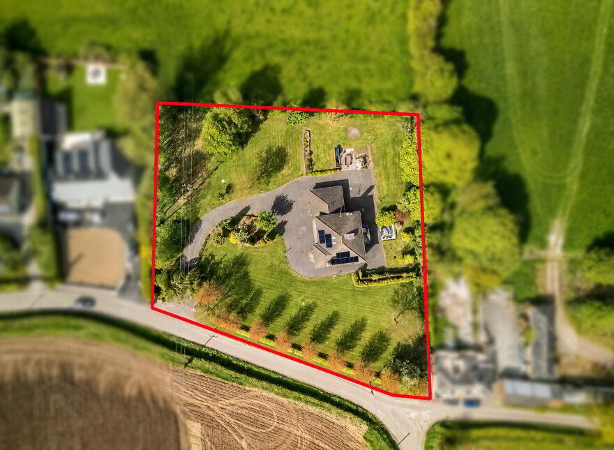 Collierstown, Tara, C15P920