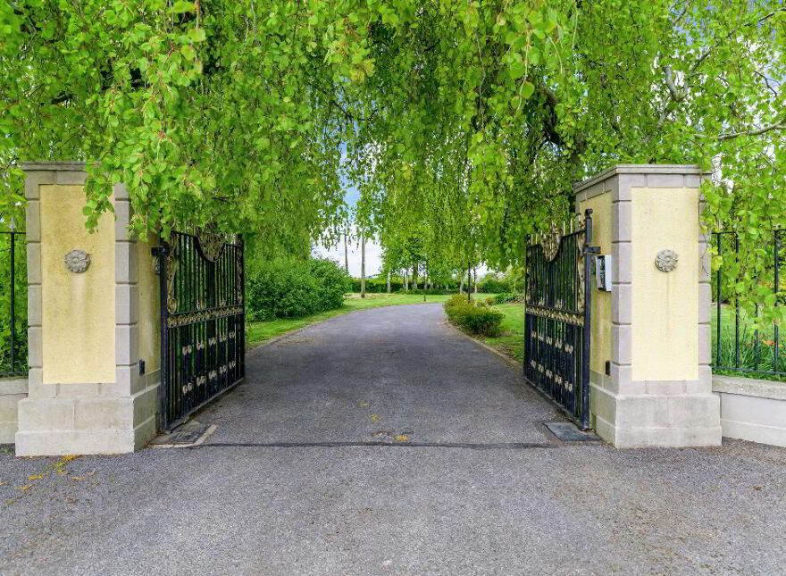 Collierstown, Tara, C15P920