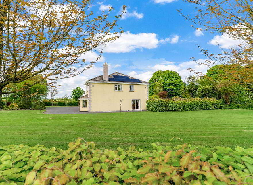 Collierstown, Tara, C15P920