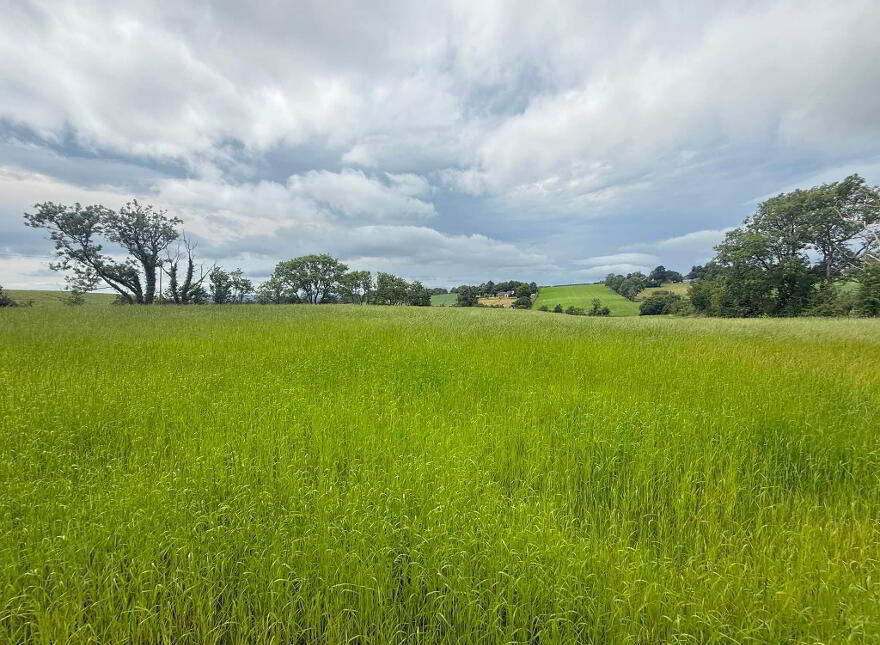 137 Seacon Road, Ballymoney, Coleraine, BT53 6PZ