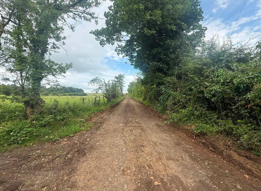 137 Seacon Road, Ballymoney, Coleraine, BT53 6PZ