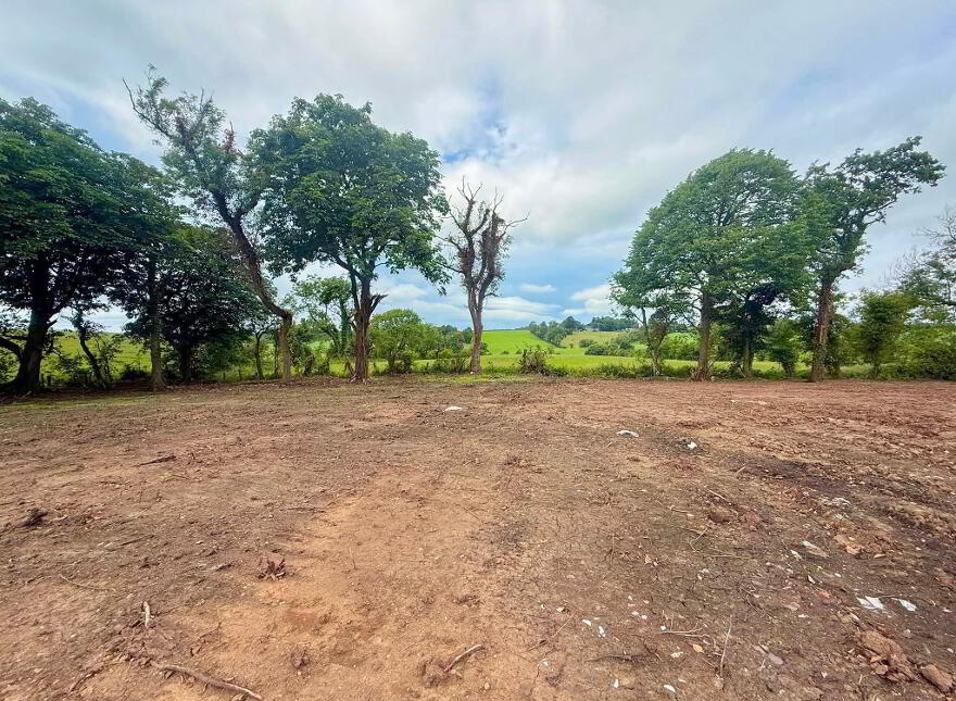 137 Seacon Road, Ballymoney, Coleraine, BT53 6PZ