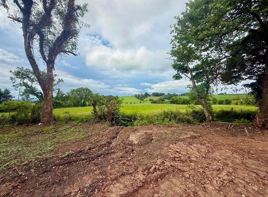 137 Seacon Road, Ballymoney, Coleraine, BT53 6PZ