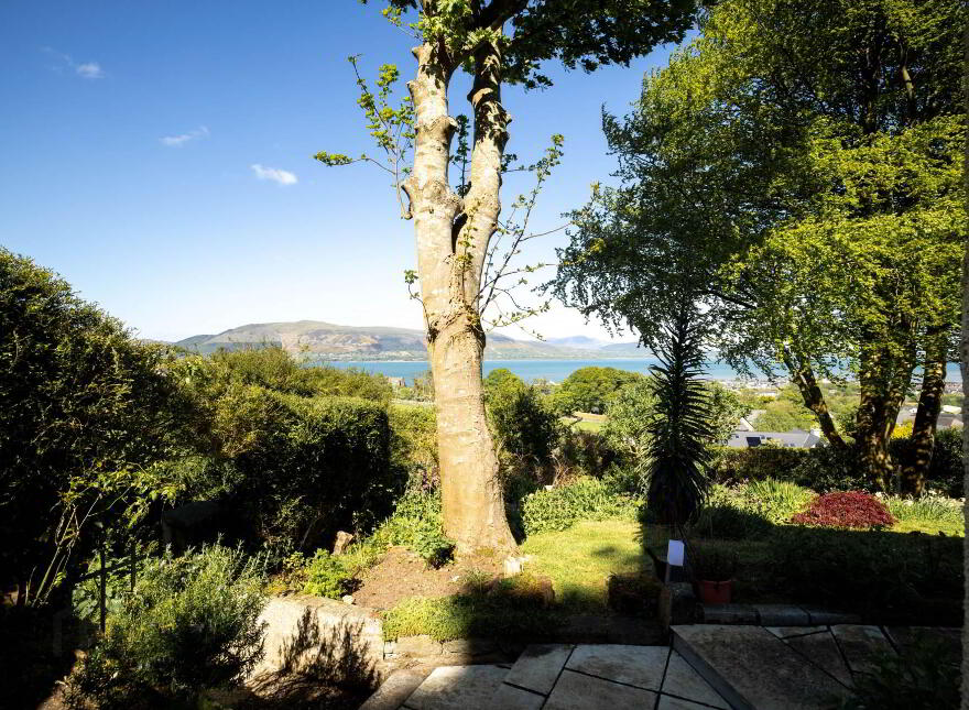 `barview`, Mountain Park, Carlingford, A91H985