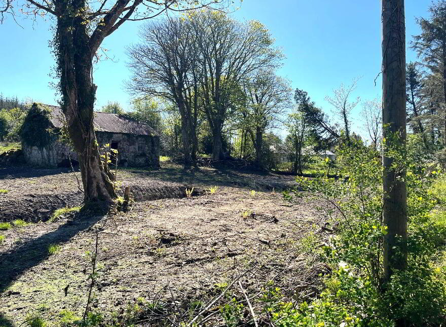 Mullagh, Dromahaire