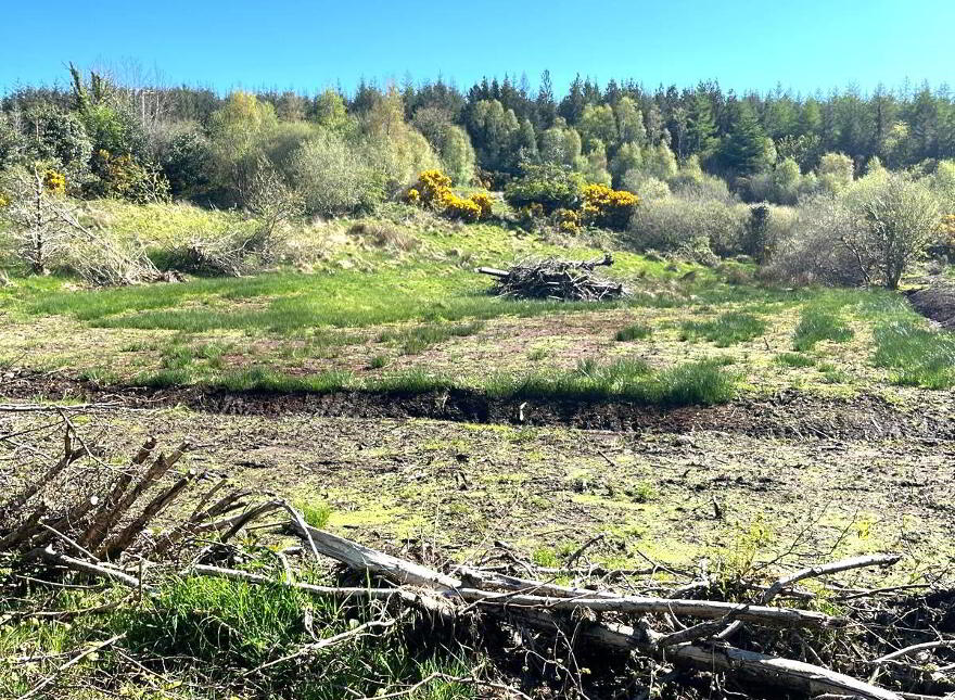 Mullagh, Dromahaire