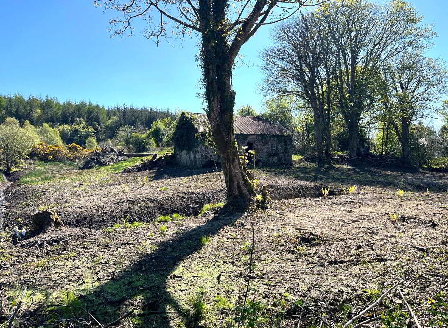 Mullagh, Dromahaire