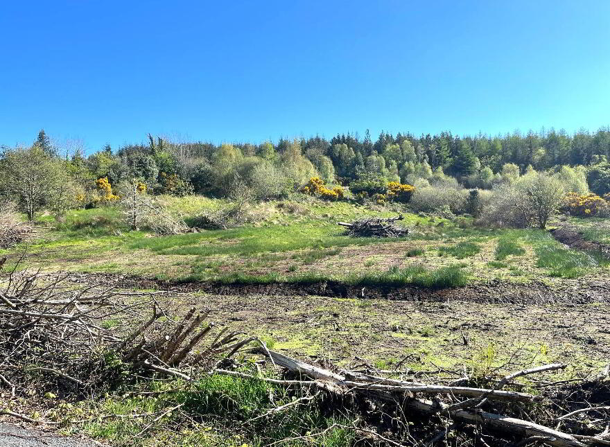 Mullagh, Dromahaire