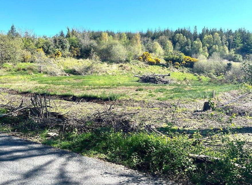 Mullagh, Dromahaire