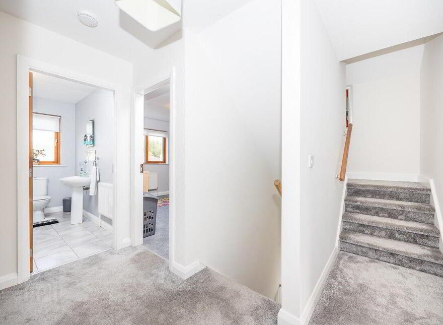 15 White Ash Park, Ashbourne, A84XF77