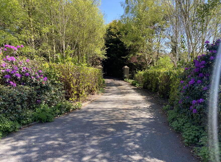 386 Upper Ballynahinch Road, Baillies Mills, Lisburn, BT27 6XL