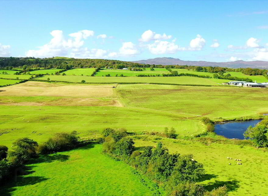 Ards Little, Ramelton, F92PW99