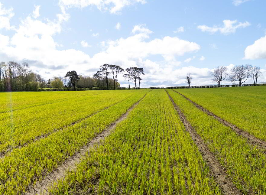 Swanvale Farm, Oldstone Road, Killealy, County Antrim, BT41 4SP