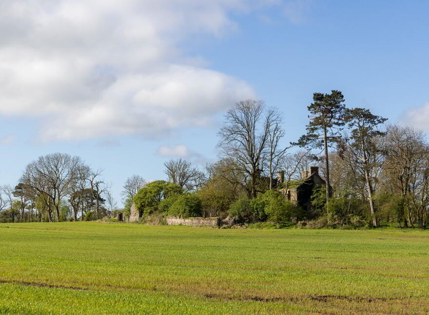 Swanvale Farm, Oldstone Road, Killealy, County Antrim, BT41 4SP