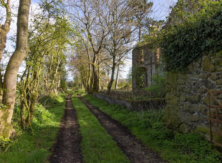 Swanvale Farm, Oldstone Road, Killealy, County Antrim, BT41 4SP