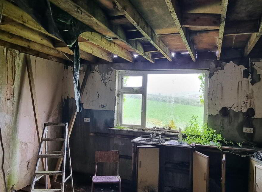 Ballinasare, Annascaul, Dingle, V92W652