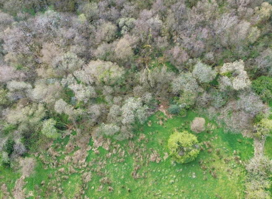 Site, & 4.5 Acres Burrow Road, Omagh, BT78 5LD