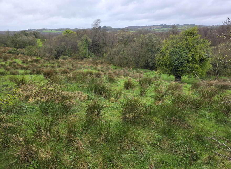 Site, & 4.5 Acres Burrow Road, Omagh, BT78 5LD