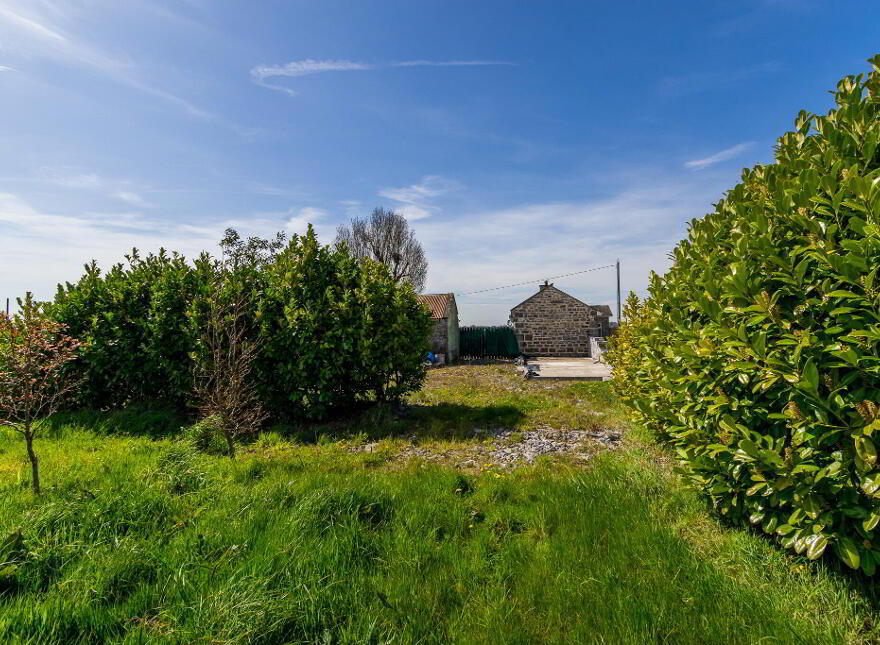 Ashtree Cottage, Greenhall Upper, Newtowncashel, N39WK72