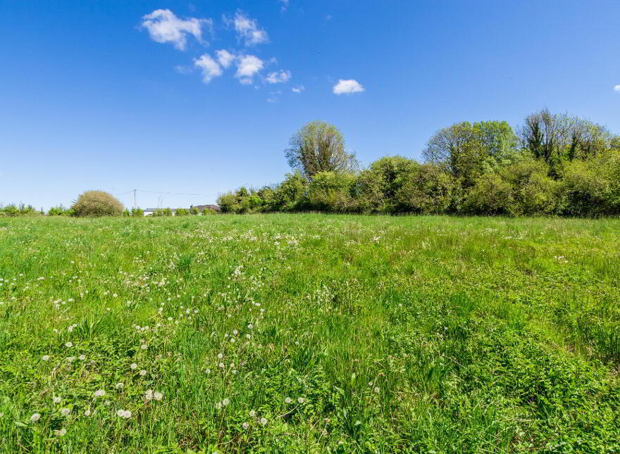 Cloonslanor, Strokestown, F42PW62