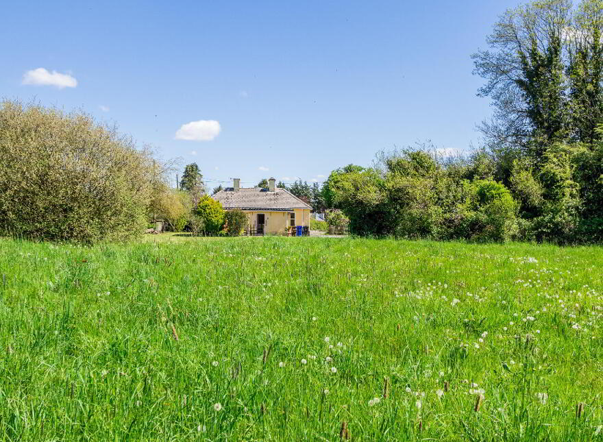 Cloonslanor, Strokestown, F42PW62