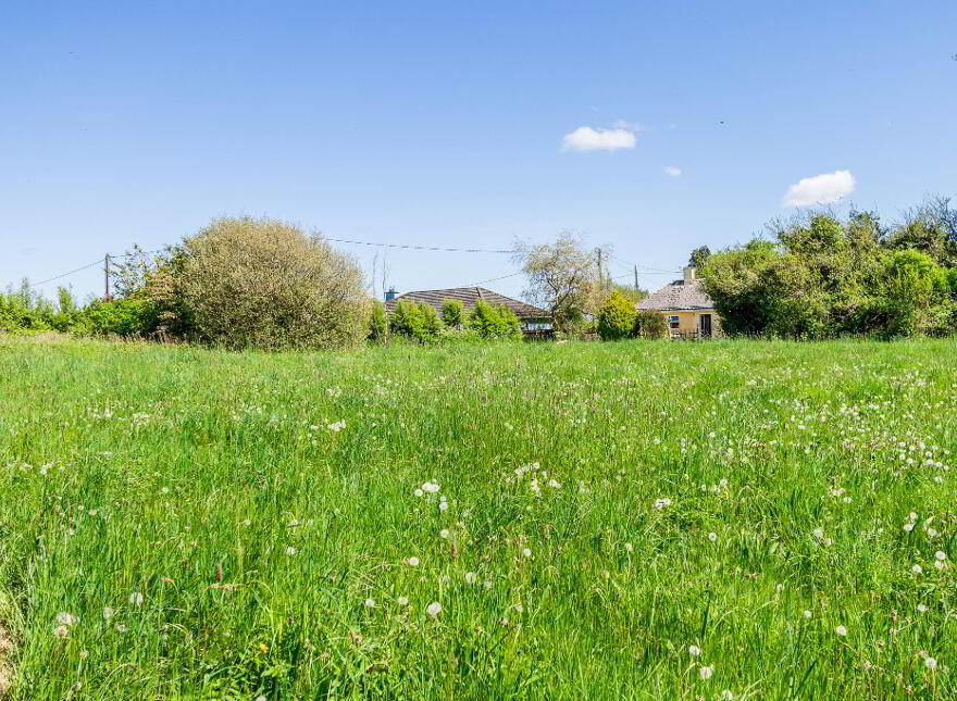 Cloonslanor, Strokestown, F42PW62